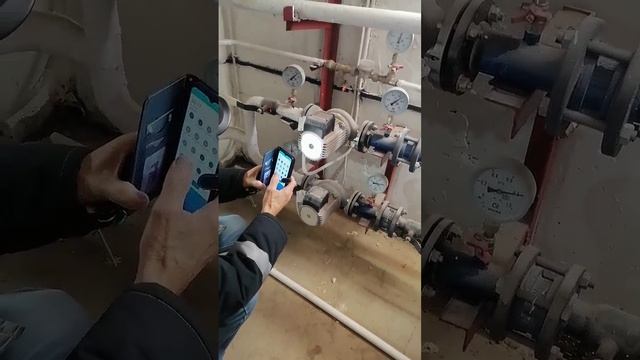 25861831_456239325.mp4