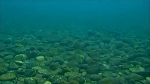 Siberia, Baikal, Irkutsk