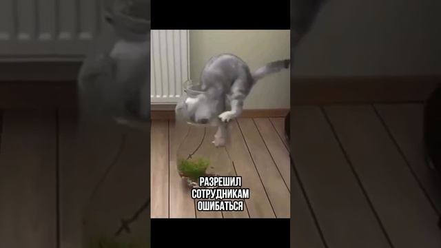 1000017710.mp4