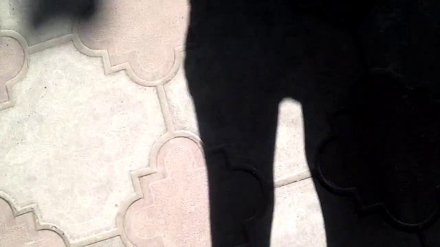 Триколордос