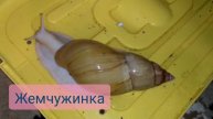 3 заставки | Новая заставка