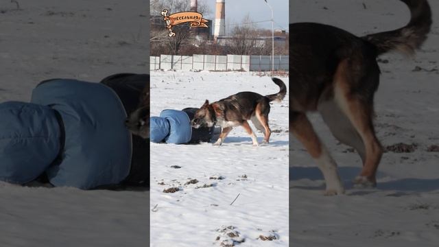 Труд облагораживает же человека, а, Наташа?