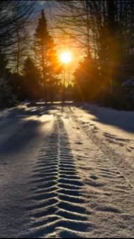 #shorts Олег Митяев - Вот уеду и печаль не велика