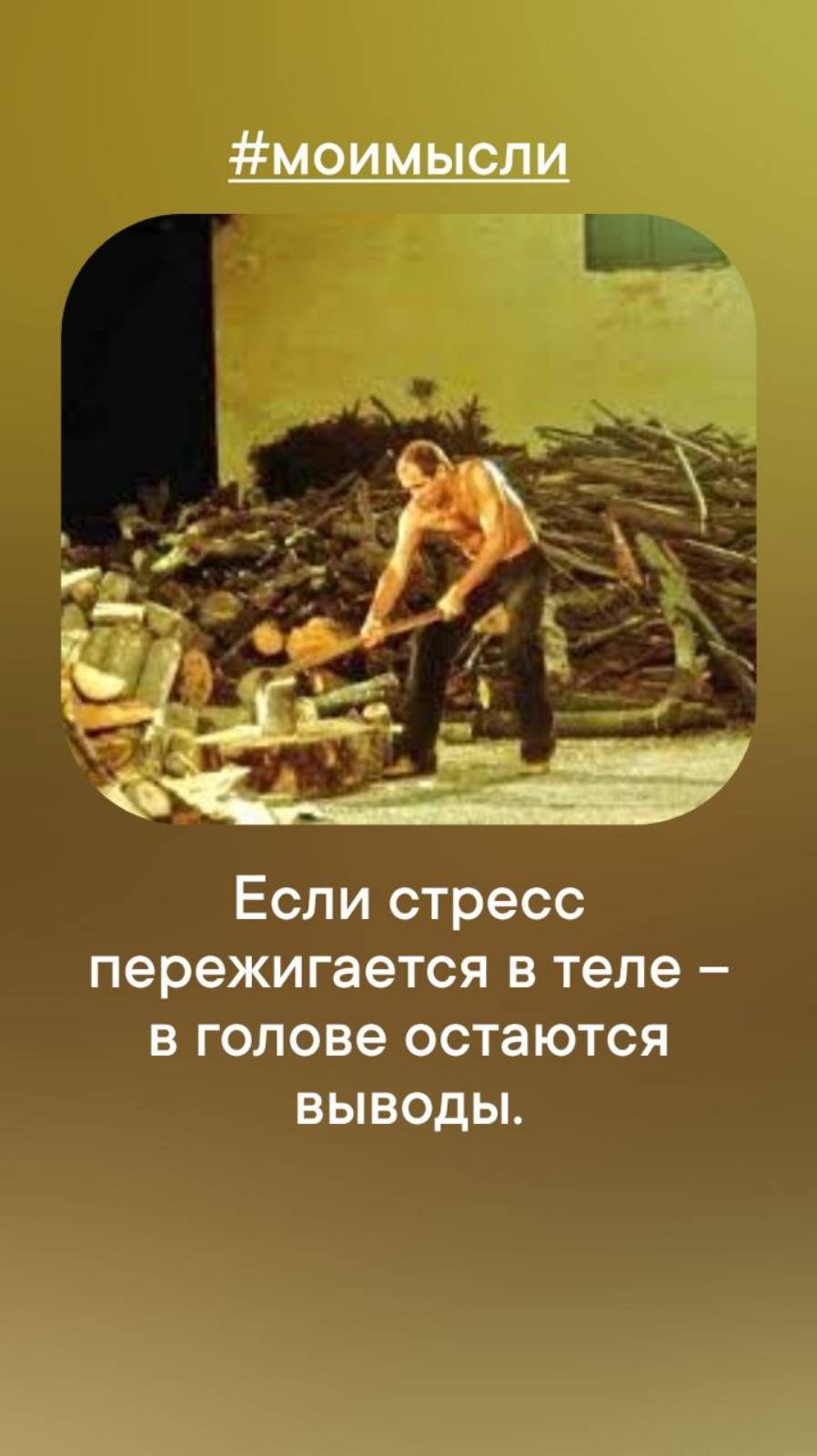 Если стресс пережигается в  теле - в голове остаются выводы.