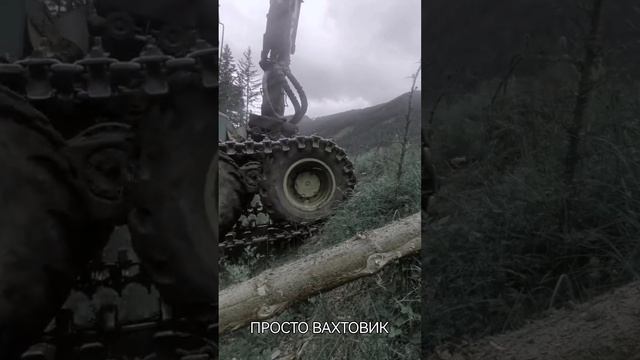 РАБОТА НА ВЕЗДЕХОДЕ В ТАЙГЕ,,, ЛЕСОЗАГОТОВКА