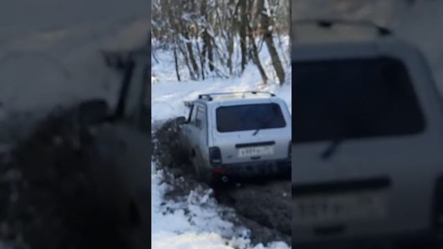 НИВАжно где дорога