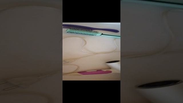VID_20241212_125424.mp4