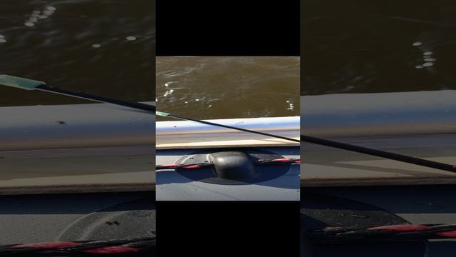 1000063980.mp4