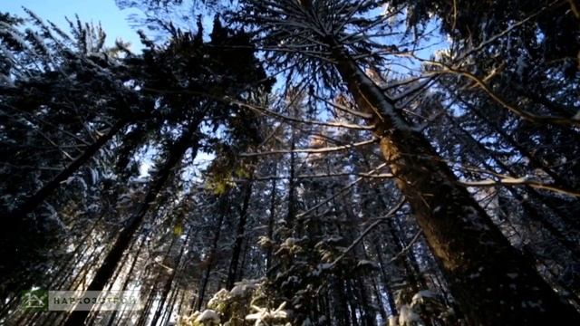 prezentacija-kompanii-narhozstroi