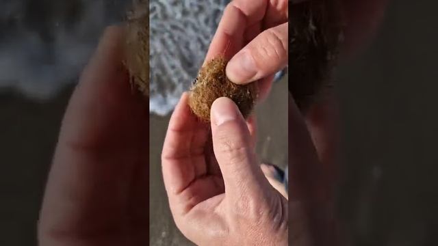 страшно😱