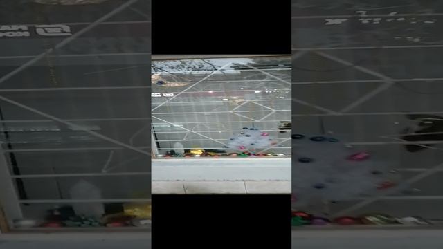 VID_20241213_160702.mp4 #сегодня #зима