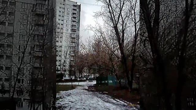 Moscow, Altufyevsky district 03.12.2024
