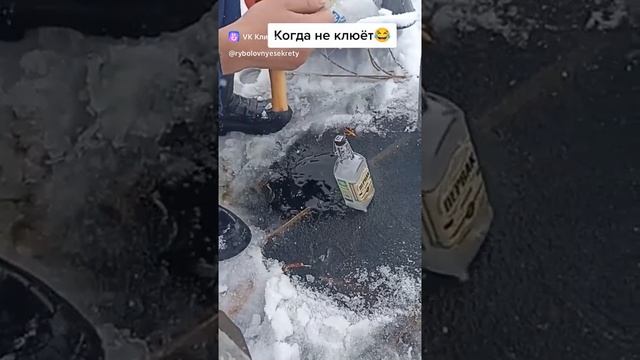 Когда не клюёт