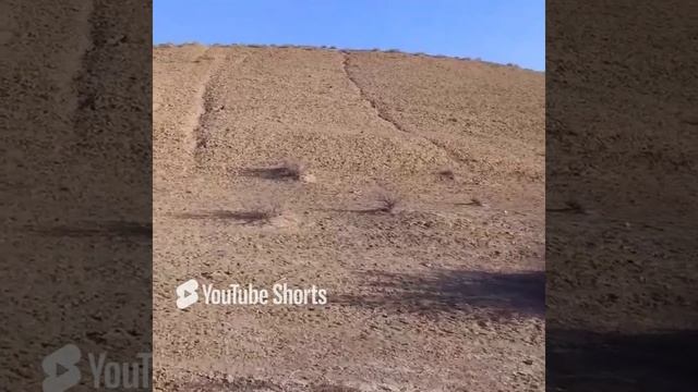 ЖУМАЛАК ТАУ.  КУНГРАД