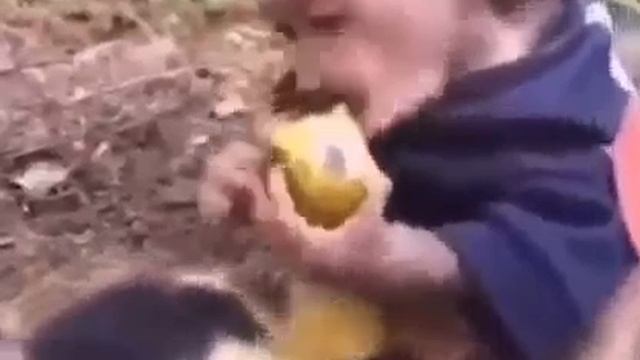 Что то торчит