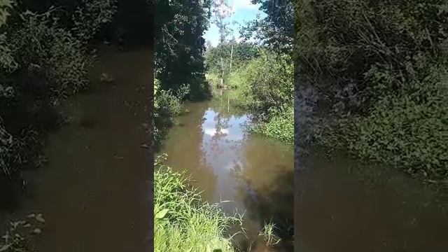 Рыбак Жора.mp4