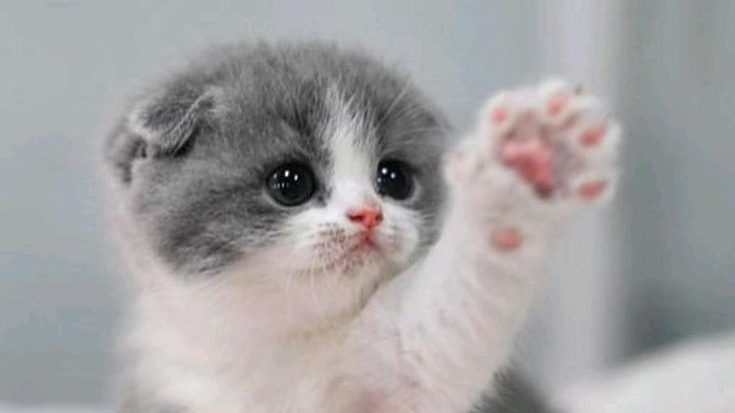 скоро выйдет видео про школу