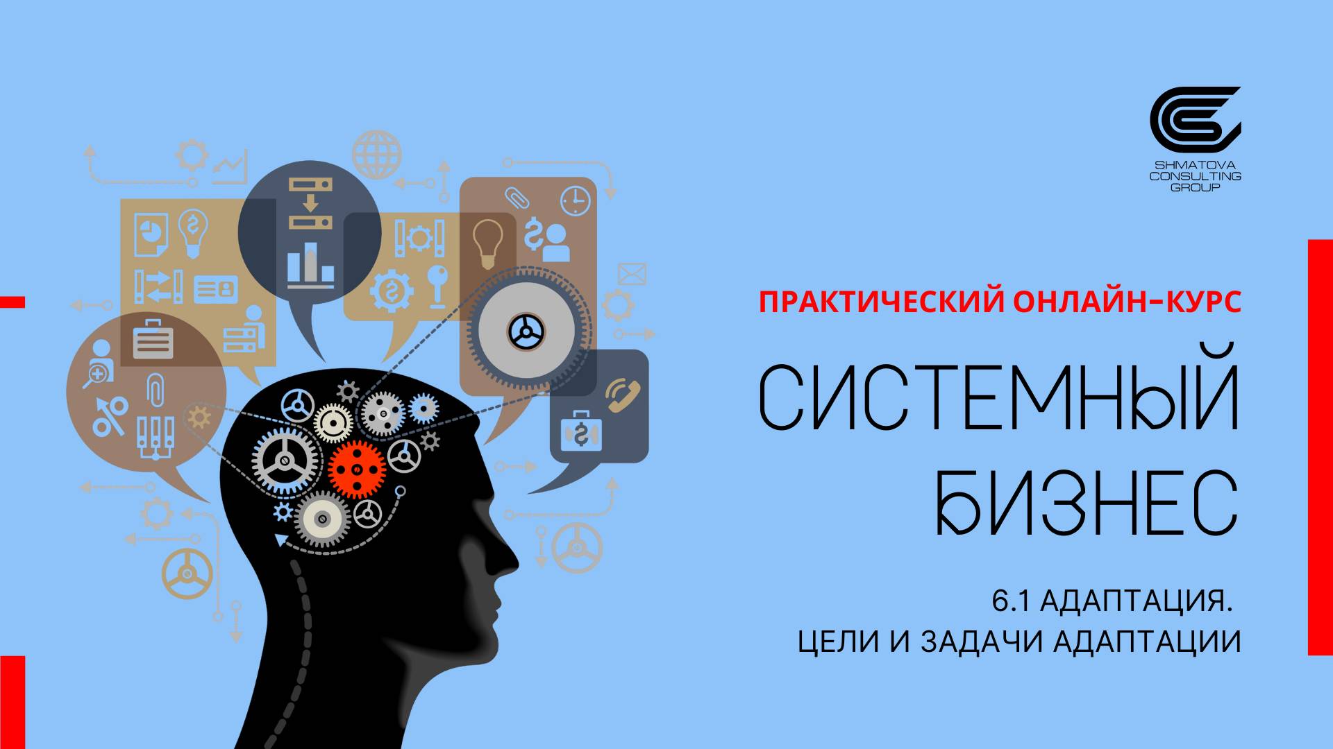 6.1 Цели и задачи адаптации