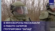 В Минобороны рассказали о работе саперов группировки "Запад"