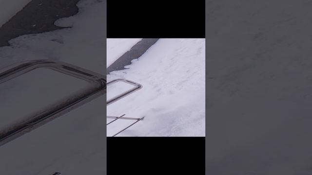 квадродеры первая часть