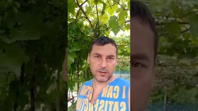 Купили дом на юге! Специалист по недвижимости в Краснодарском крае.