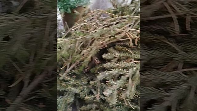 Новогодний венок из обруча