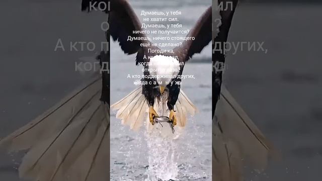 #осознанность #психология #мотивация #силамысли #любовь
