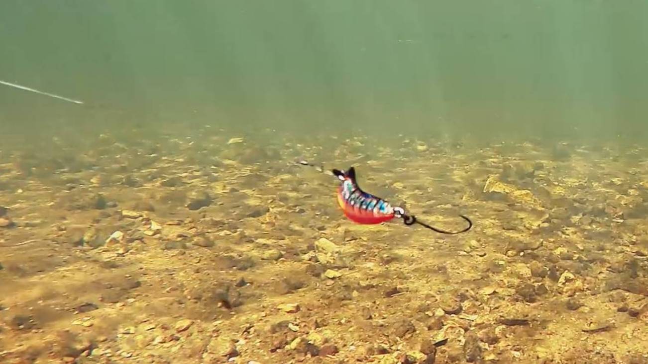 Анимация TUKA Kite : Trout на течении