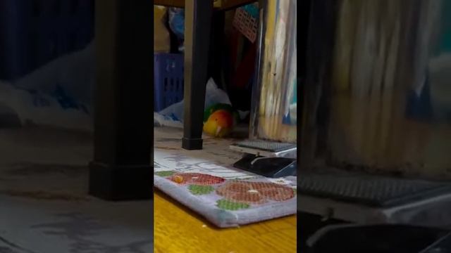 Ой, боюсь ))).