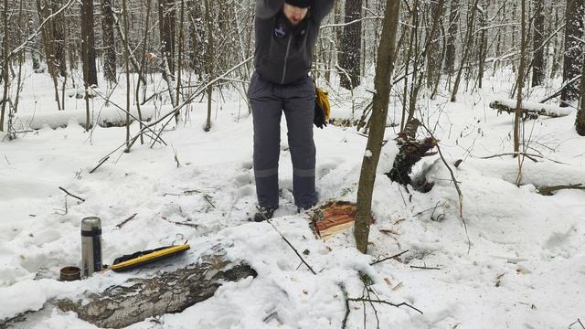 ПОРУБАС # 31 14.12.24 КУЗЬМИНКИ