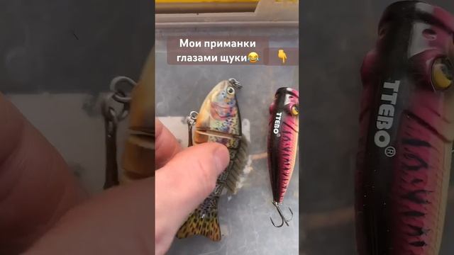 Мои приманки глазами щуки😂 #щука #воблер #блесна #спиннинг #джиг #поппер #fishing #spinning #река