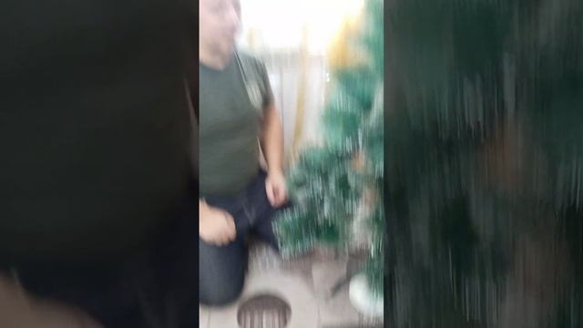 с наступающим новым годом!!!