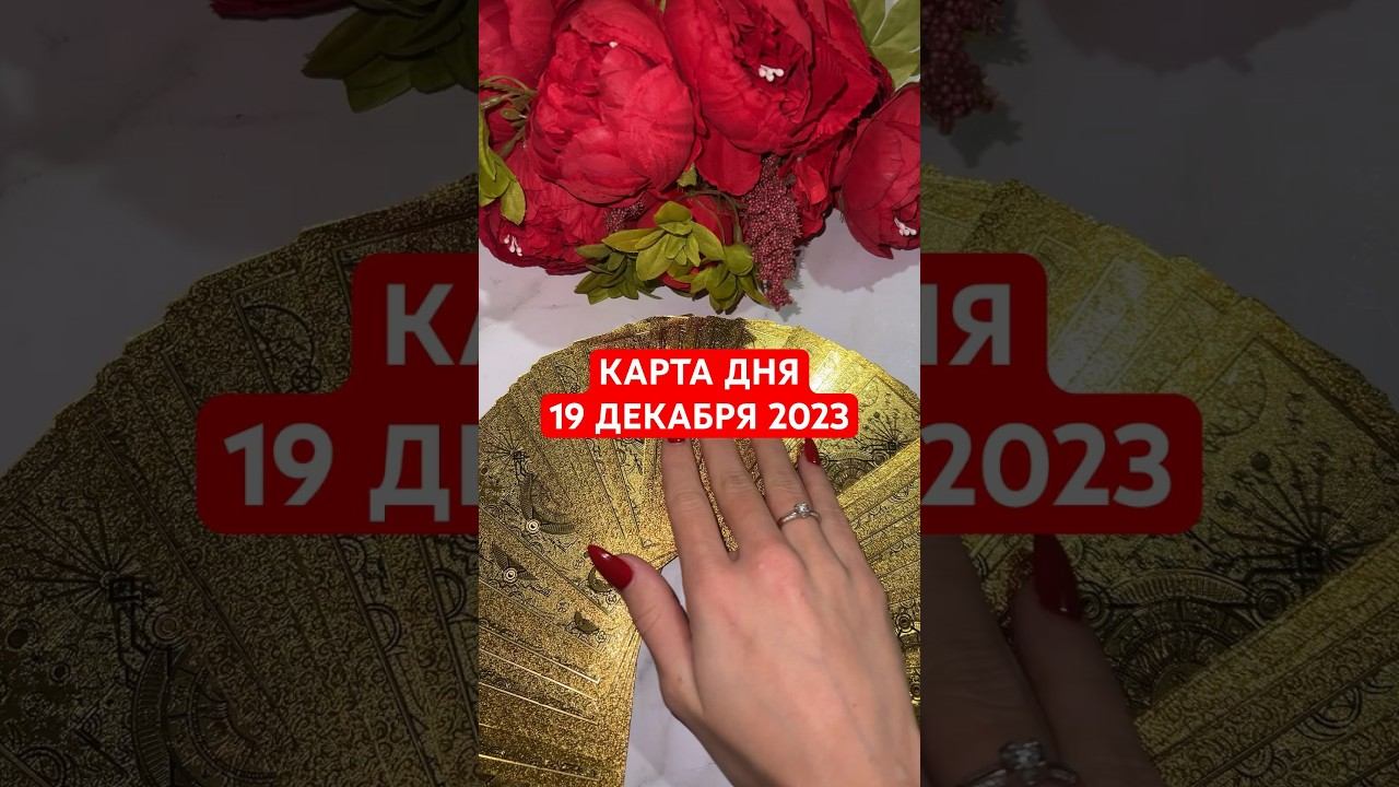 КАРТА ДНЯ 19 ДЕКАБРЯ 2023 #гадание #тароонлайн