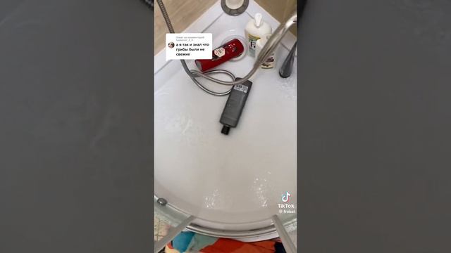 Бабок зино