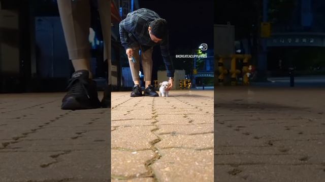 1000079893.mp4