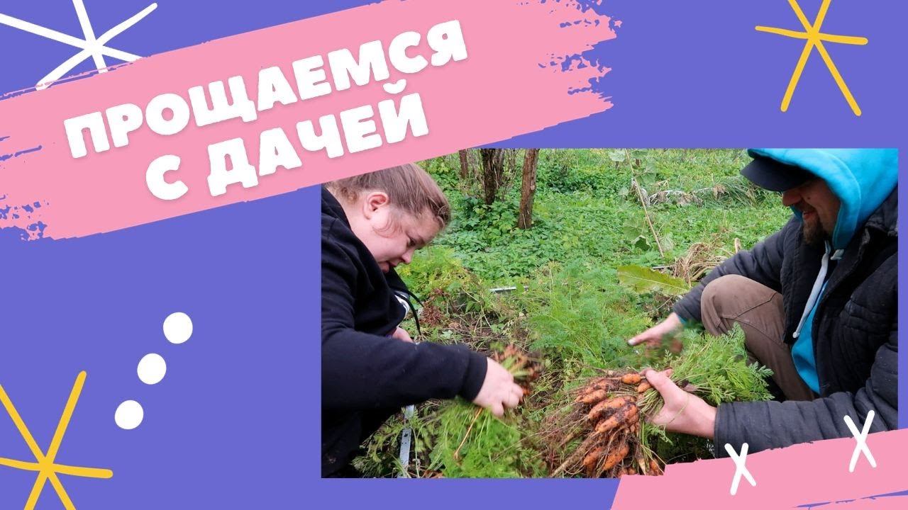 Пока, дача! Закрываем дачный сезон, собираем урожай