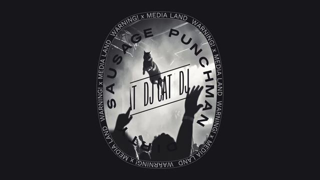 Punchman, Dirty Sausage - DJ Cat (Official Visualizer)