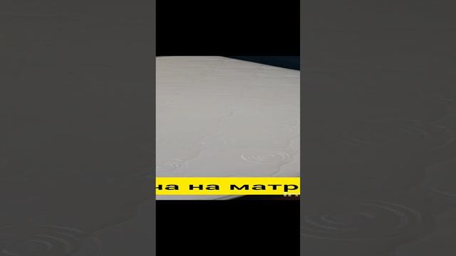1000067895.mp4