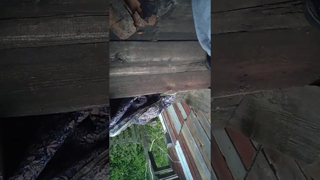 гугл карты. или не надо на велике по пешим маршрутам по лесу