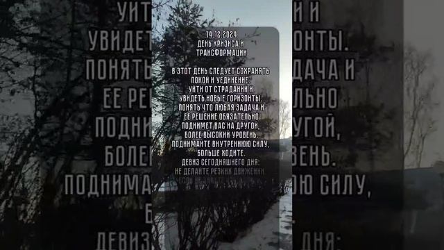 энергия дня 14.12.2024