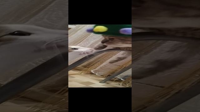 1000007923.mp4