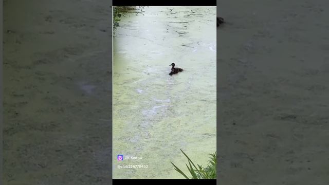 1000006167.mp4
