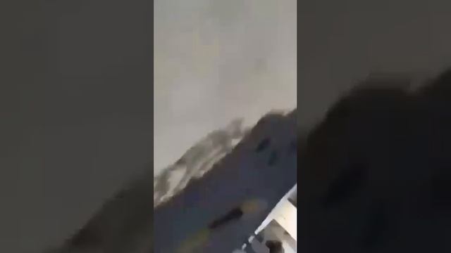 1000023895.mp4