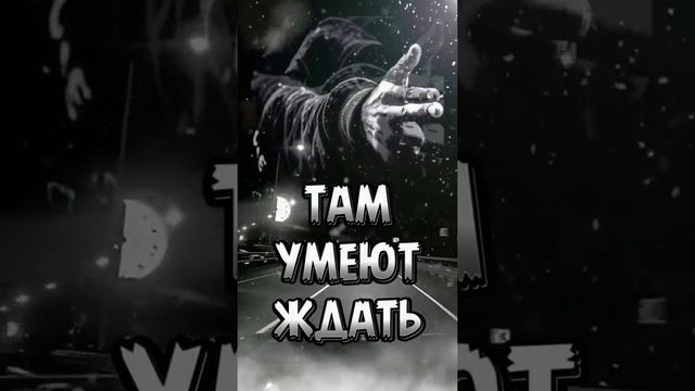 цитаты