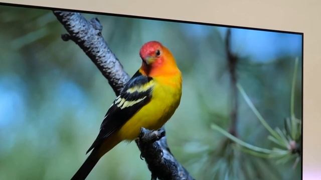 Телевизор Haier 50 Smart TV S2 2024