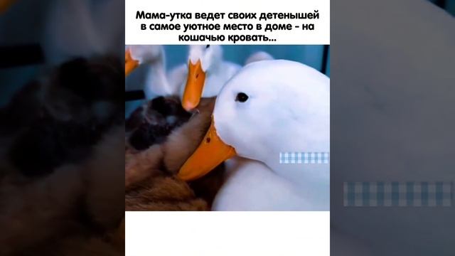1000019153.mp4