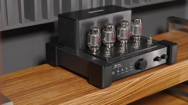 Doge10 MK3 Is The BEST Tube Integrated Amplifier I've Heard With A LOT Of Problems 😕