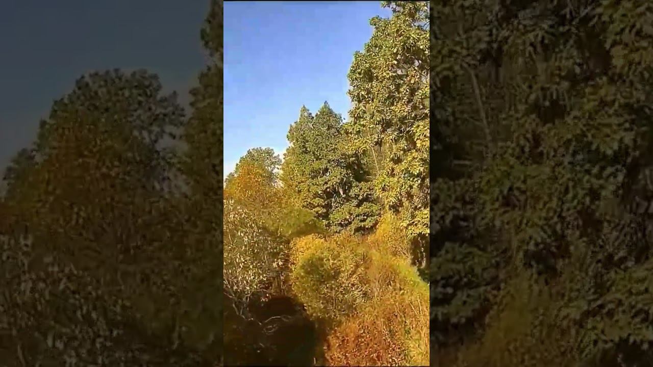#fpv #fpv4k #drone