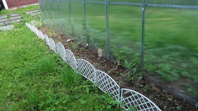Большой дачный влог: взяли третью кошку, пилим деревья, наш огород