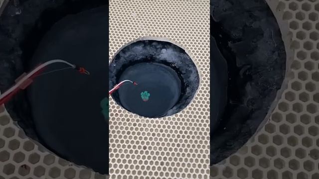 Поплавок цветочек🌸

Как вам такой поплавок?